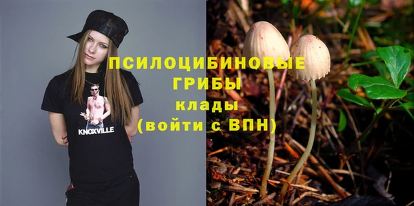 эйфоретик Алексеевка